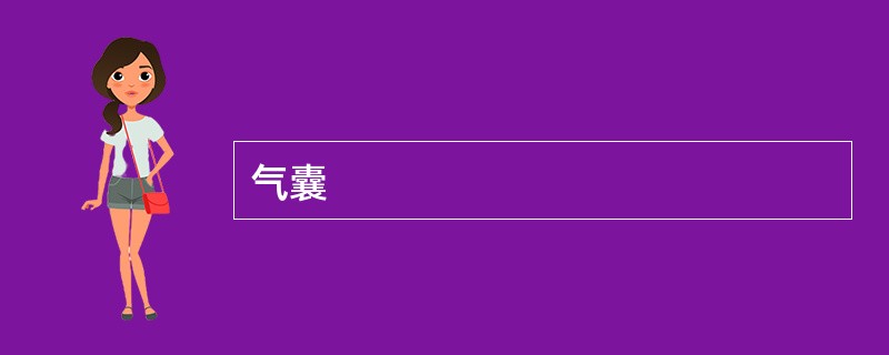 气囊