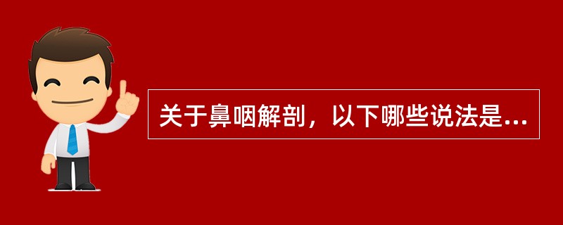 关于鼻咽解剖，以下哪些说法是错误的（）。
