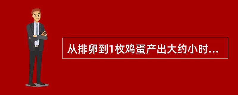 从排卵到1枚鸡蛋产出大约小时（）。