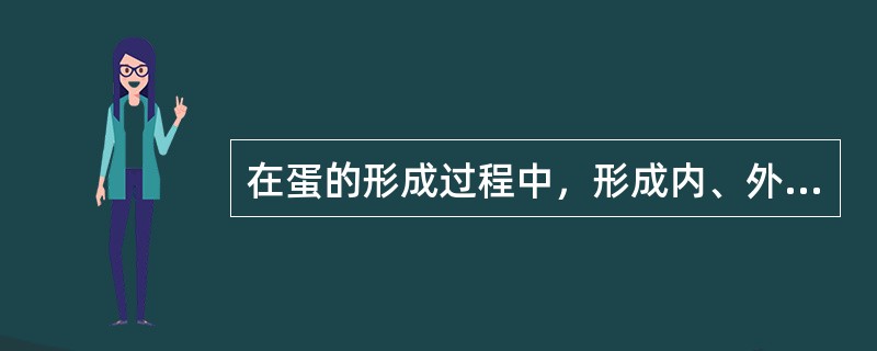 在蛋的形成过程中，形成内、外壳膜的部位在输卵管（）