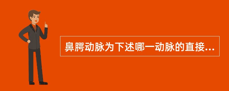 鼻腭动脉为下述哪一动脉的直接分支（）。