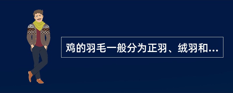 鸡的羽毛一般分为正羽、绒羽和（）