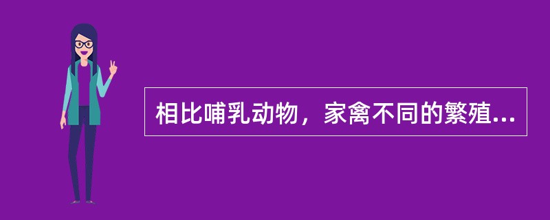 相比哺乳动物，家禽不同的繁殖特征。