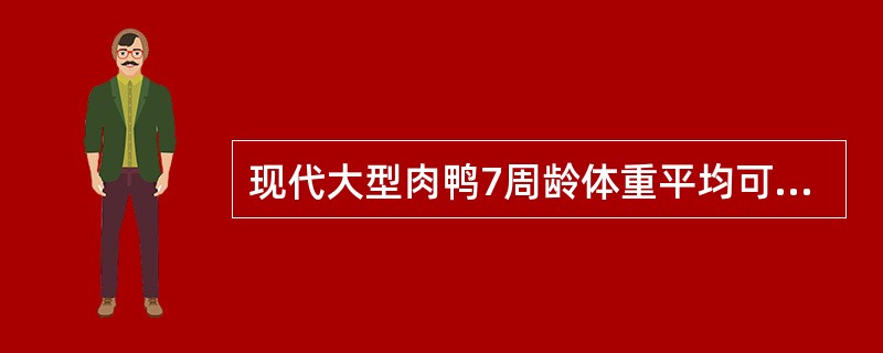 现代大型肉鸭7周龄体重平均可以达到多少公斤（）。