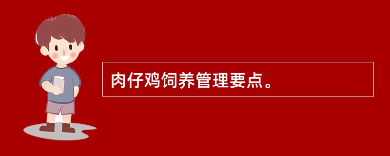 肉仔鸡饲养管理要点。