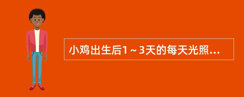 小鸡出生后1～3天的每天光照时间为（）小时。