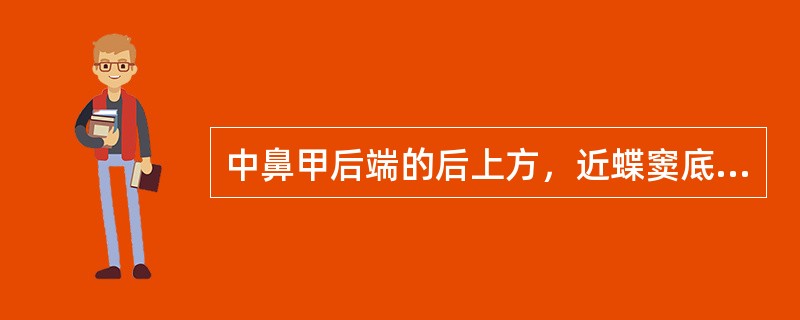 中鼻甲后端的后上方，近蝶窦底处的鼻腔外侧壁上有一骨孔称为（）。