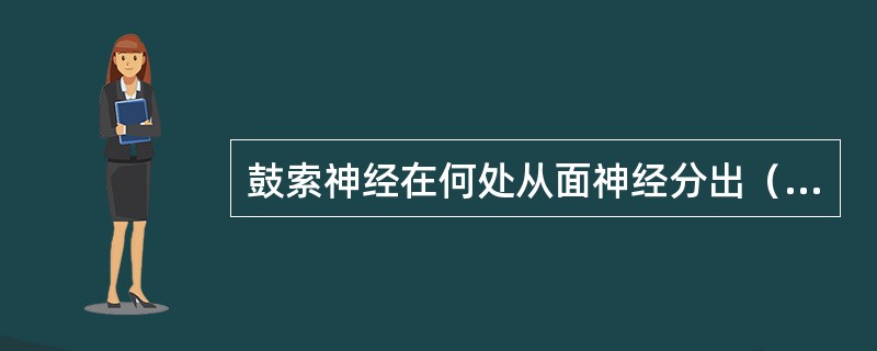鼓索神经在何处从面神经分出（）。