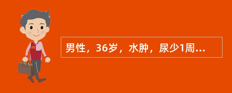 男性，36岁，水肿，尿少1周，血压120/80mmHg，尿常规：蛋白（++++）