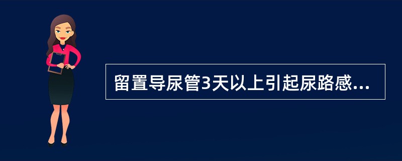 留置导尿管3天以上引起尿路感染的机会可达（）