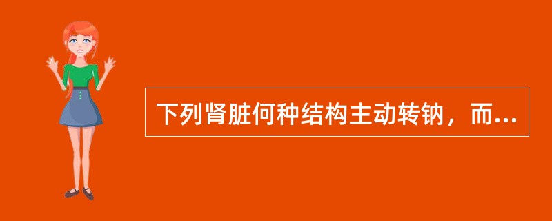 下列肾脏何种结构主动转钠，而水则随着被动重吸收（）