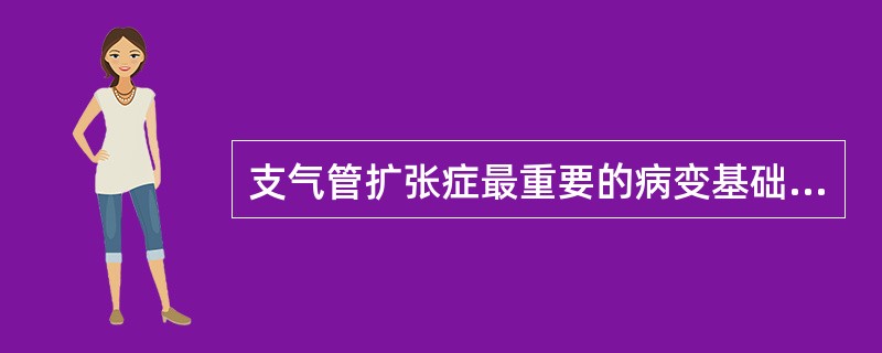 支气管扩张症最重要的病变基础是（）