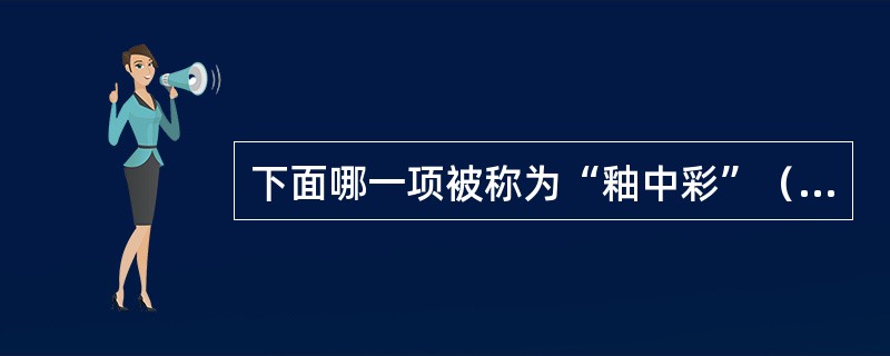 下面哪一项被称为“釉中彩”（）。