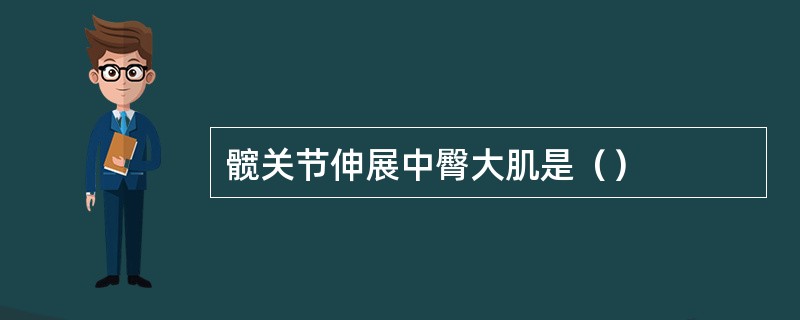 髋关节伸展中臀大肌是（）