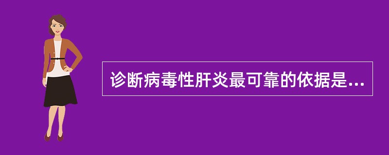 诊断病毒性肝炎最可靠的依据是（）