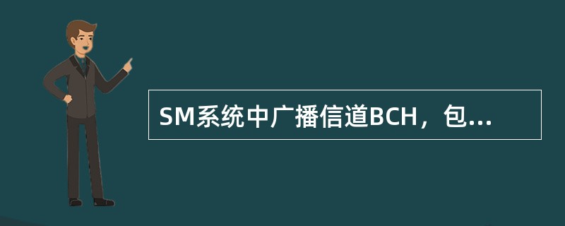 SM系统中广播信道BCH，包括（）信道