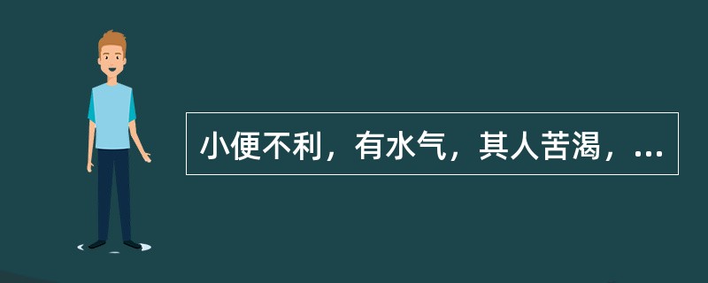 小便不利，有水气，其人苦渴，腹中冷者，治疗当用（）