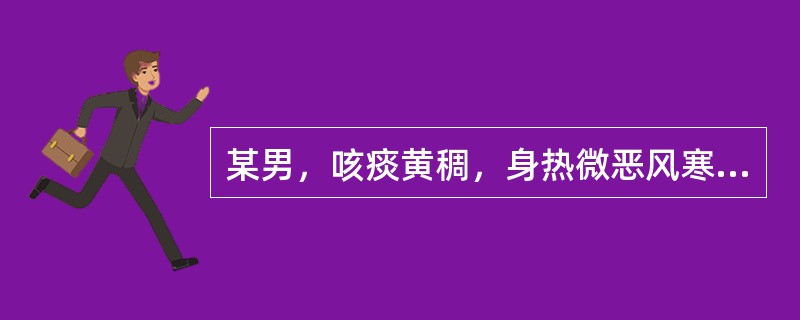 某男，咳痰黄稠，身热微恶风寒，鼻流浊涕，口干咽痛，最宜诊断为（）