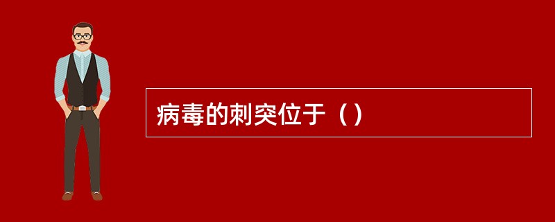 病毒的刺突位于（）