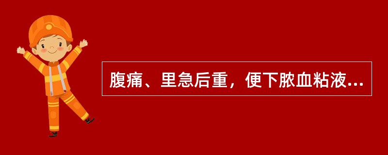 腹痛、里急后重，便下脓血粘液，舌苔黄腻，脉弦滑而实者多为（）