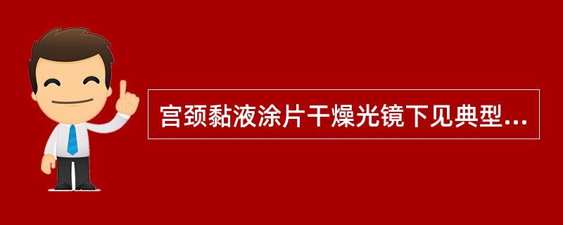 宫颈黏液涂片干燥光镜下见典型羊齿植物叶状结晶，应出现在正常月经周期中的（）