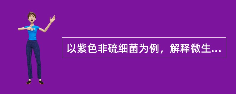 以紫色非硫细菌为例，解释微生物的营养类型可变性及对环境条件变化适应能力的灵活性。