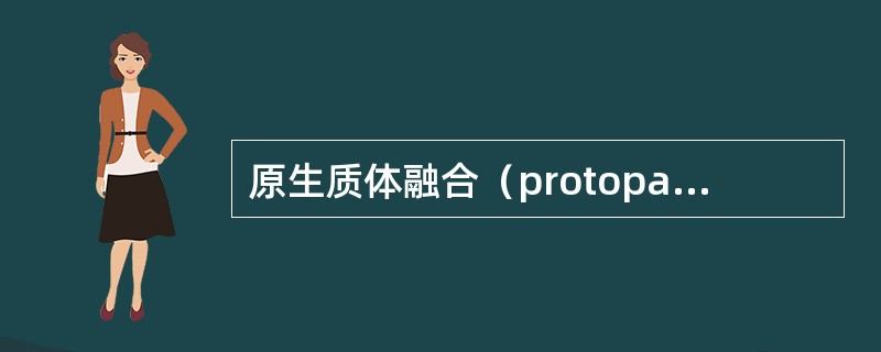 原生质体融合（protopastfusion）