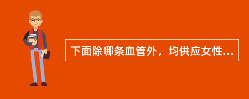 下面除哪条血管外，均供应女性内外生殖器官的血液（）