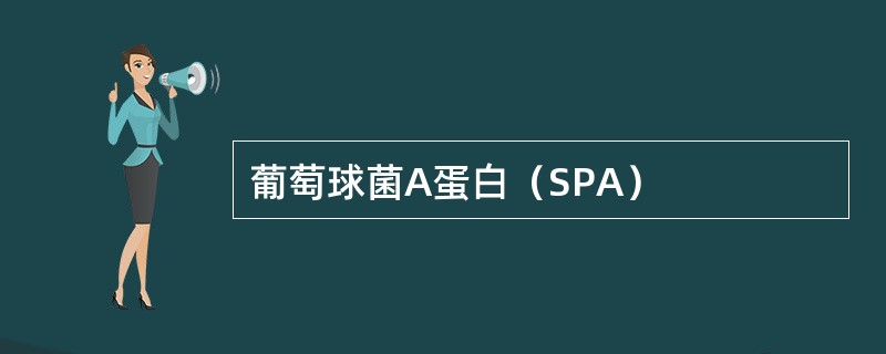 葡萄球菌A蛋白（SPA）