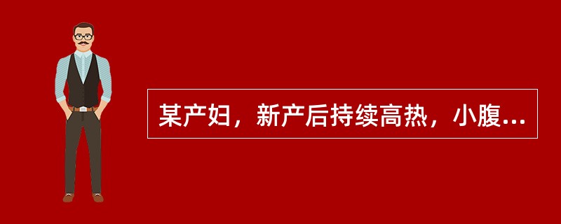 某产妇，新产后持续高热，小腹疼痛剧烈，拒按，恶露排出不畅，秽臭如脓，烦渴引饮，大