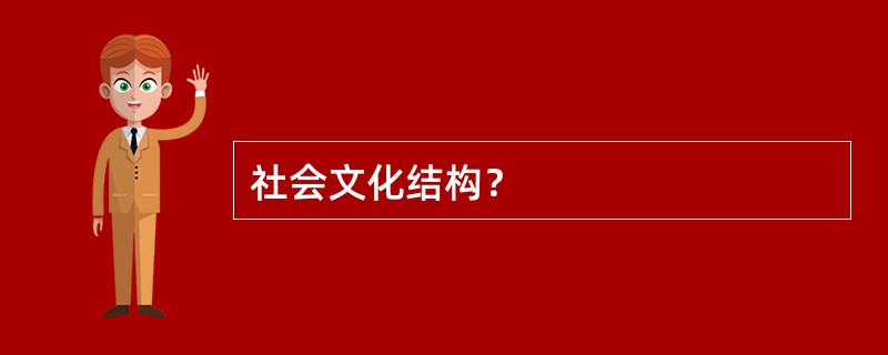 社会文化结构？