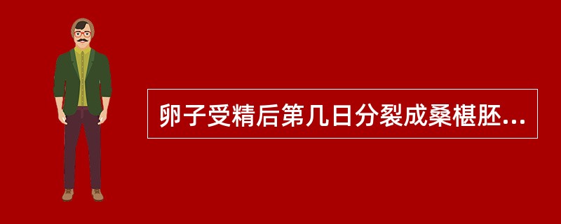 卵子受精后第几日分裂成桑椹胚，于第几日早期囊胚进入子宫腔，约在受精后第几日囊胚开