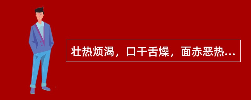 壮热烦渴，口干舌燥，面赤恶热，大汗，脉洪大有力。治当首选（）