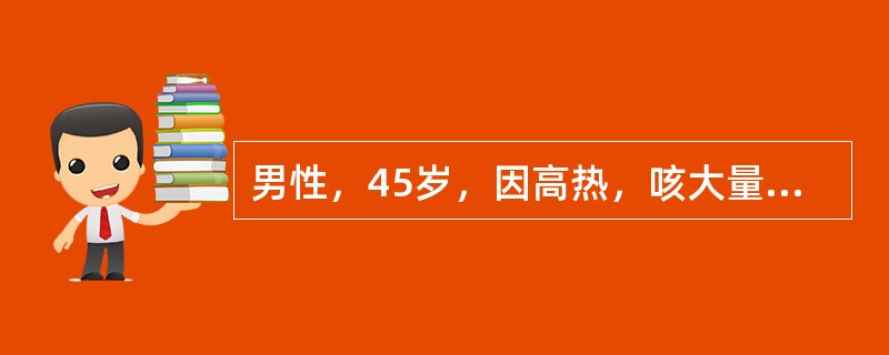 男性，45岁，因高热，咳大量脓臭痰伴咯血住院，X线胸片诊断右肺上叶肺脓肿，先后应