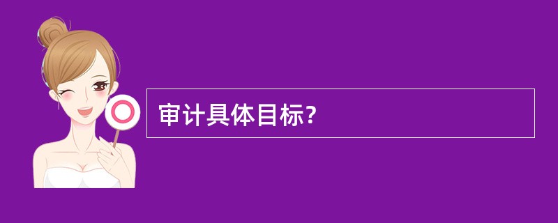 审计具体目标？