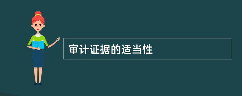 审计证据的适当性