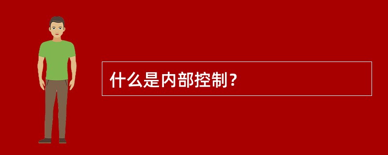 什么是内部控制？