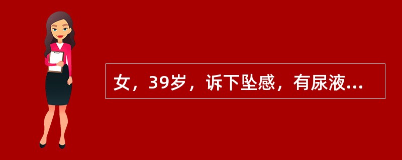 女，39岁，诉下坠感，有尿液漏出。妇科检查：宫颈已脱出阴道口6cm，阴道前后壁显