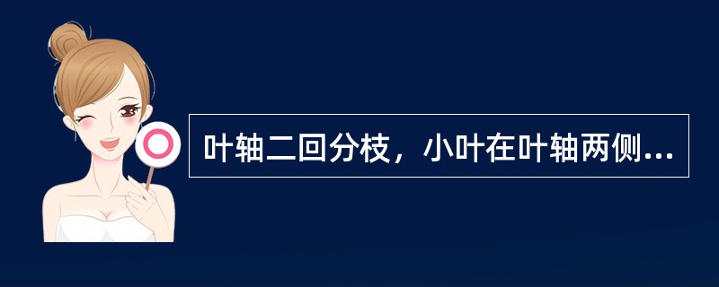 叶轴二回分枝，小叶在叶轴两侧排列成羽毛状的复叶称为（）。