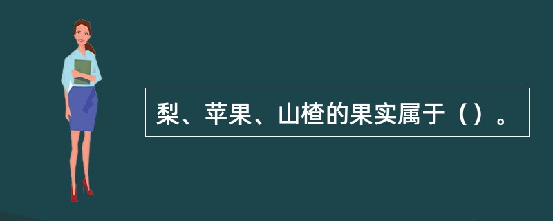 梨、苹果、山楂的果实属于（）。