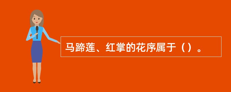 马蹄莲、红掌的花序属于（）。