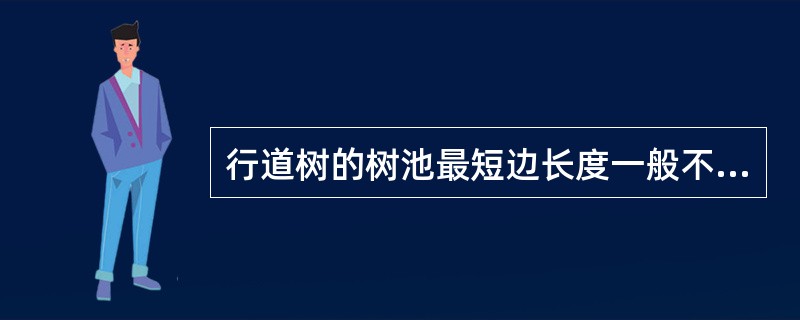 行道树的树池最短边长度一般不小于（）。