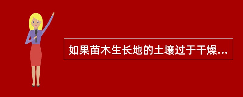 如果苗木生长地的土壤过于干燥，裸根苗木应在（）进行灌水。