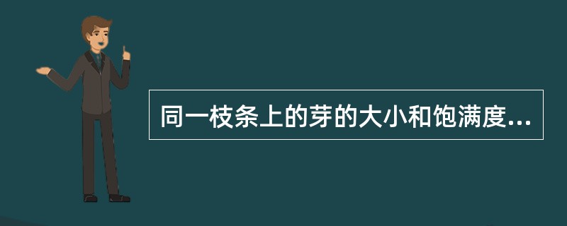 同一枝条上的芽的大小和饱满度是一样的.