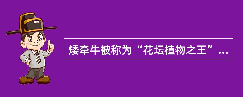 矮牵牛被称为“花坛植物之王”，主要是它具有重瓣的大花品种.