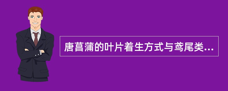 唐菖蒲的叶片着生方式与鸢尾类相似，但鸢尾类地下部分没有球根.