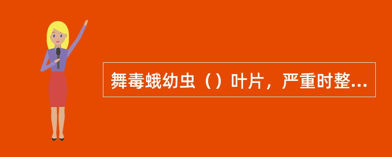 舞毒蛾幼虫（）叶片，严重时整株或叶片被吃光。