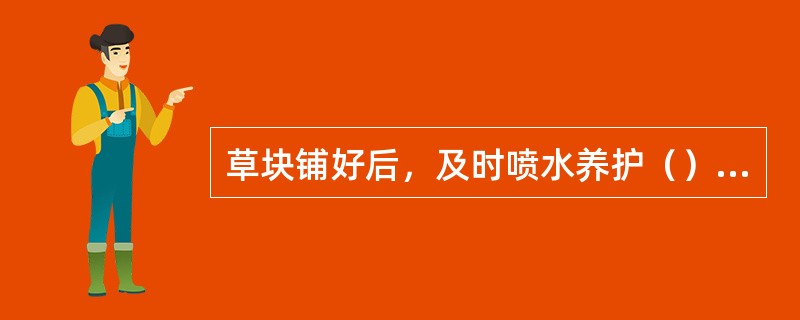 草块铺好后，及时喷水养护（）左右即可成型。