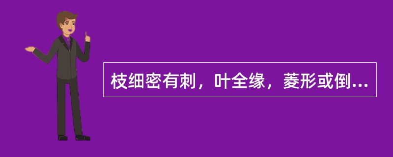 枝细密有刺，叶全缘，菱形或倒卵形，叶面光绿色，入秋叶变红的落叶灌木是（）。