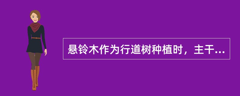 悬铃木作为行道树种植时，主干高度一般控制在（）m。